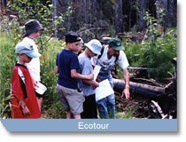 ecotour.jpg